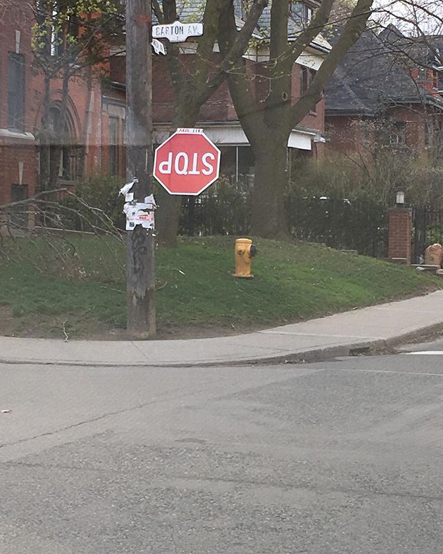A strong storm-like wind turned our city upside down on Friday with crazy speeds close to 110 km/h! A few scares and some scars. It even very tragically claimed some lives!  #wind #windy #windyday #toronto #torontoigers #igerstoronto #storm