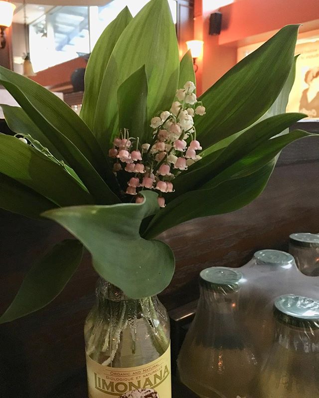 Beautiful bouquet of pink lily-of-the-valley picked up in the Annex yesterday. #lilyofthevalley #springtime